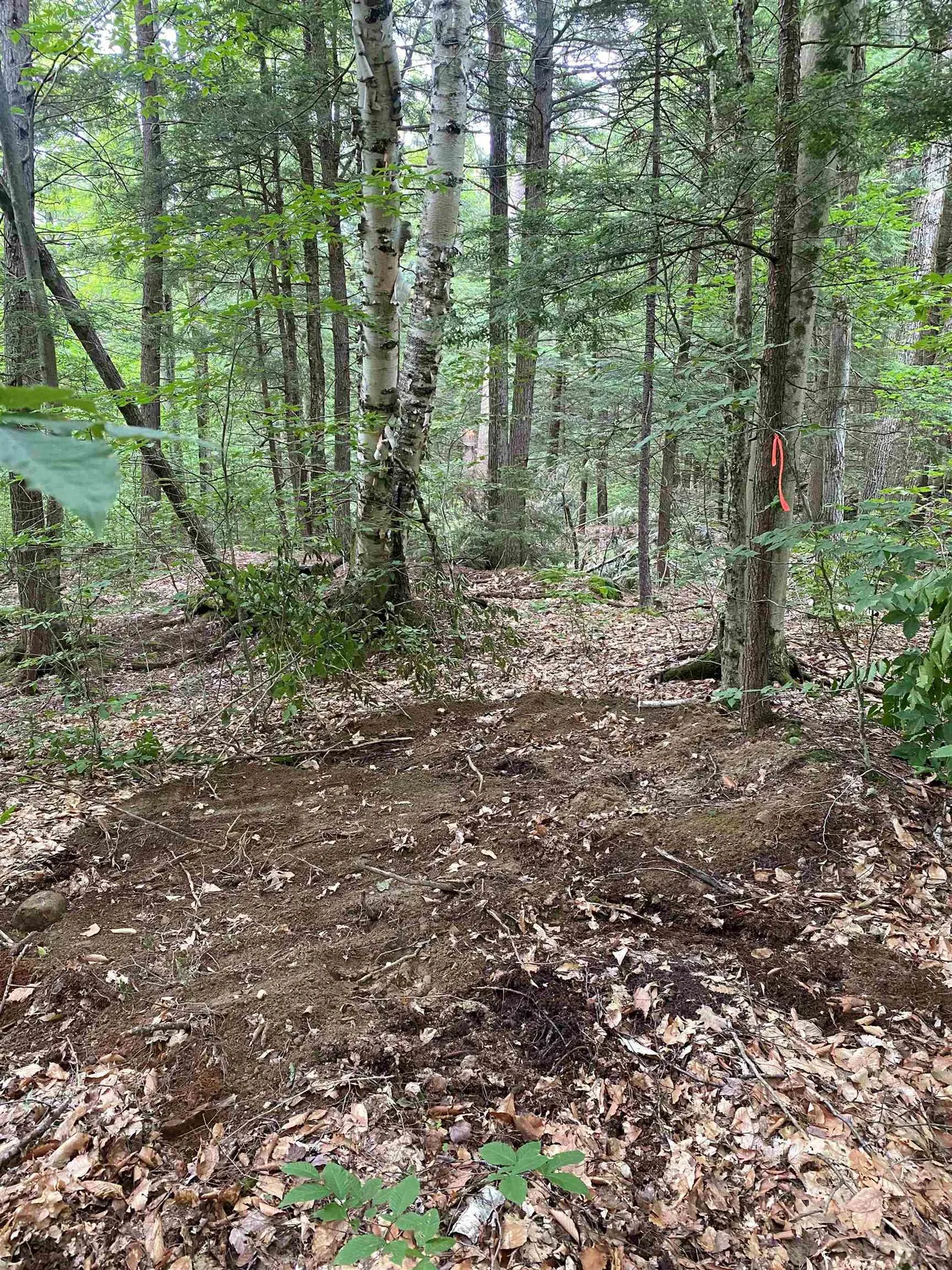 Turnpike Road South Thetford VT 05074