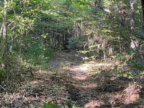 Turnpike Road South Thetford VT 05074