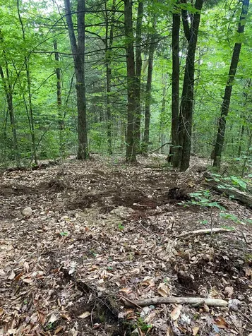 Turnpike Road South Thetford VT 05074