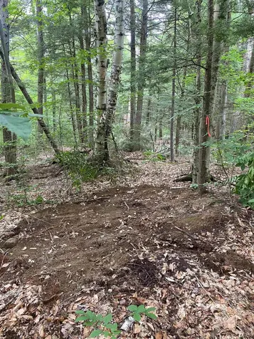 Turnpike Road South Thetford VT 05074