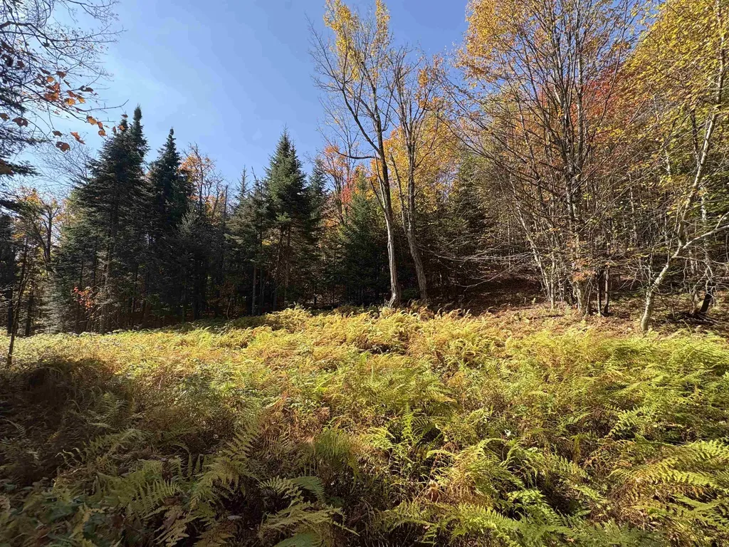 000 Baird Road Newark VT 05871