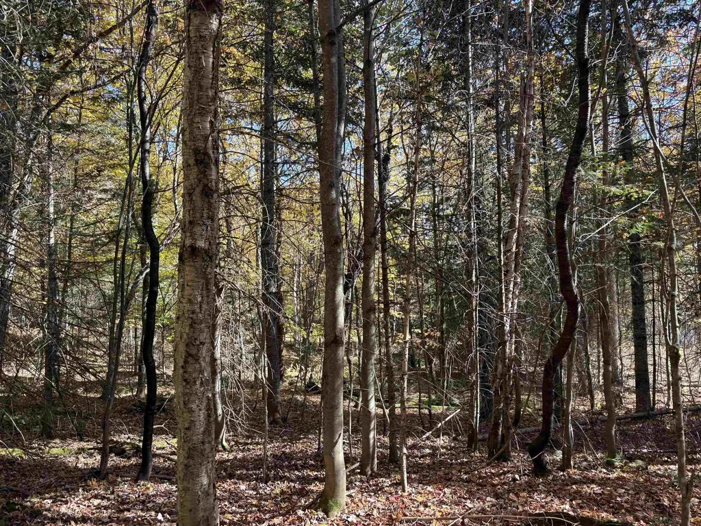 000 Baird Road Newark VT 05871