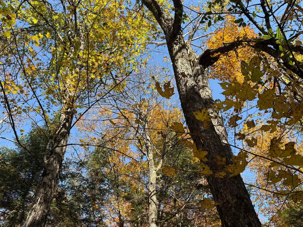 000 Baird Road Newark VT 05871