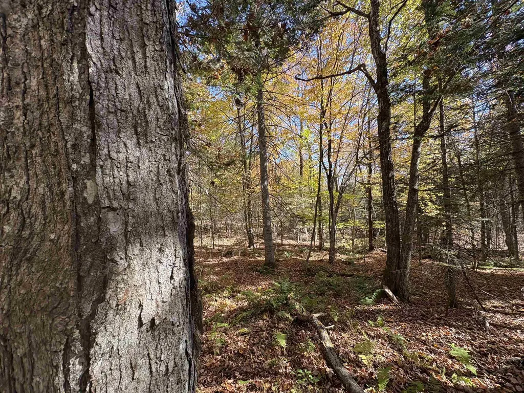 000 Baird Road Newark VT 05871