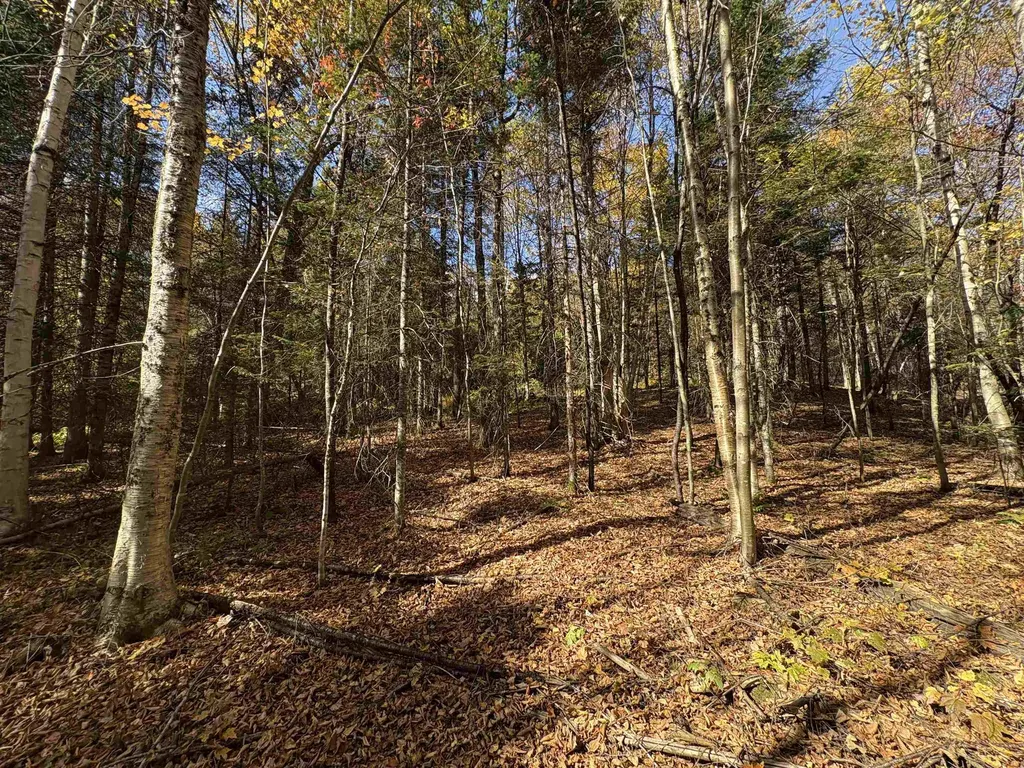 000 Baird Road Newark VT 05871