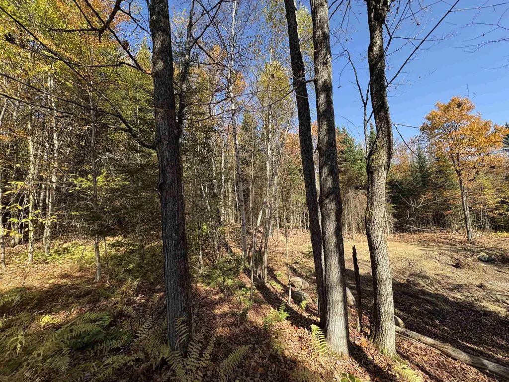 000 Baird Road Newark VT 05871