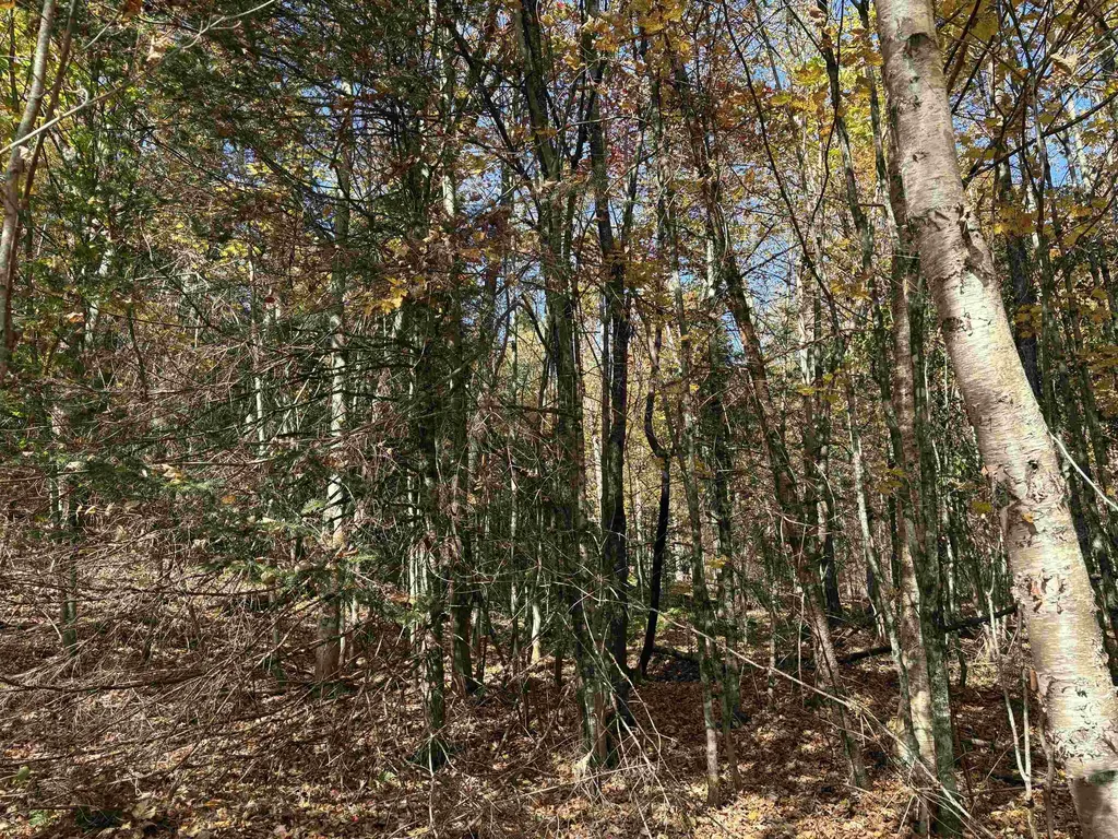 000 Baird Road Newark VT 05871