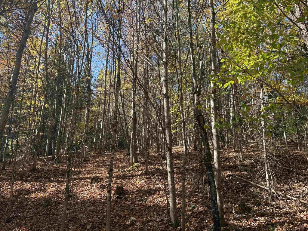 000 Baird Road Newark VT 05871