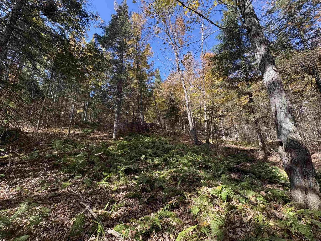 000 Baird Road Newark VT 05871