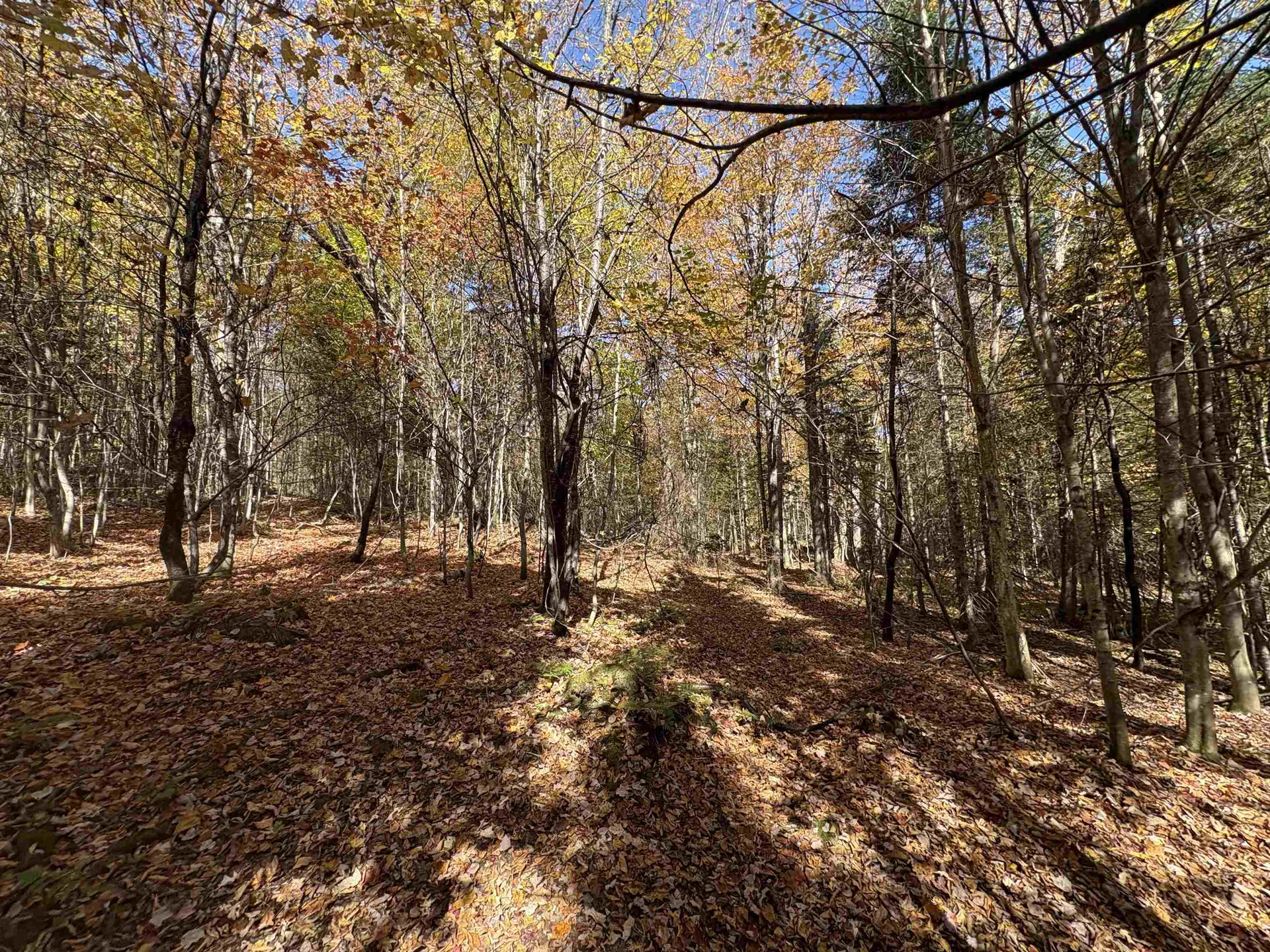 000 Baird Road Newark VT 05871