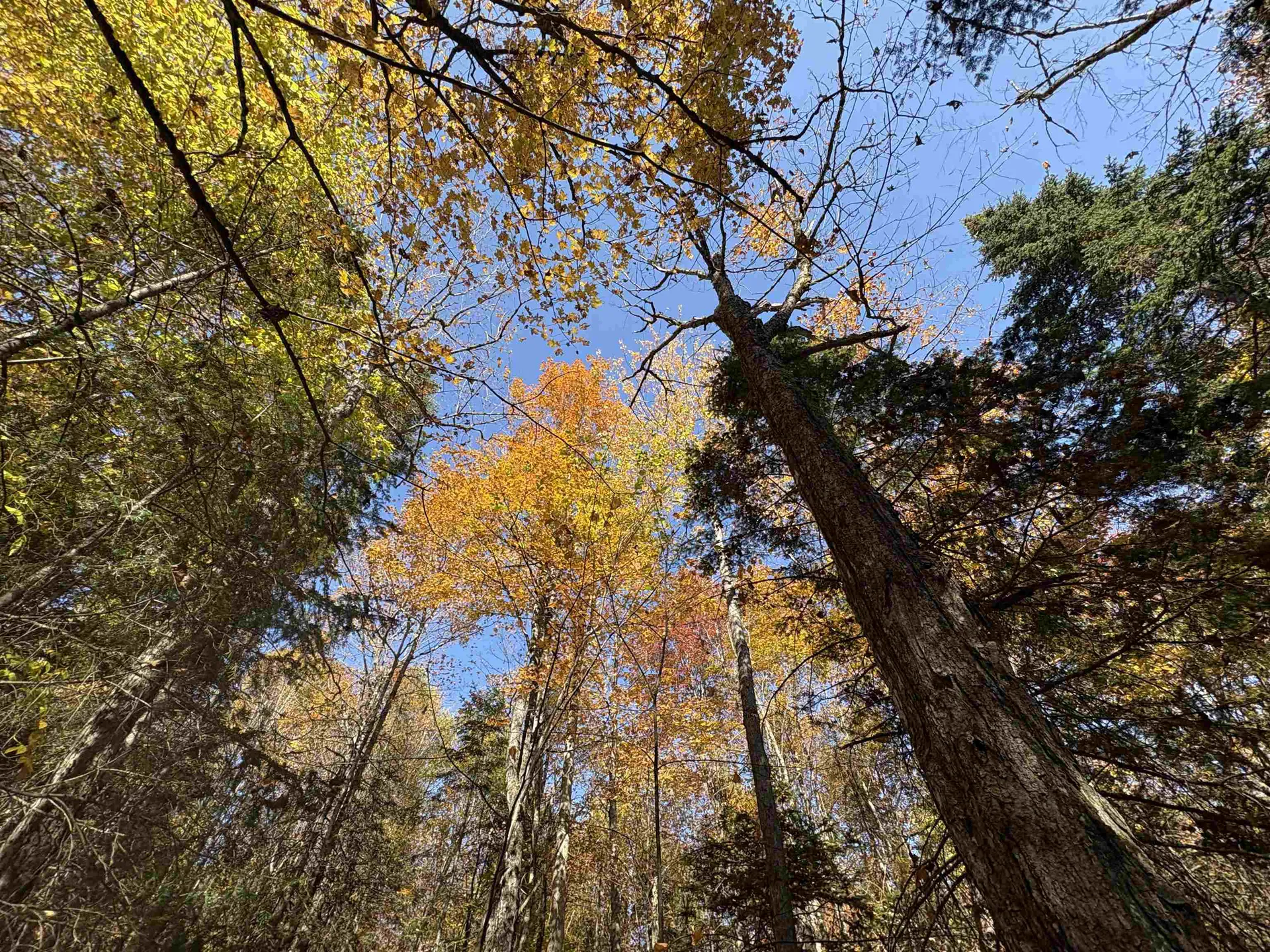 000 Baird Road Newark VT 05871