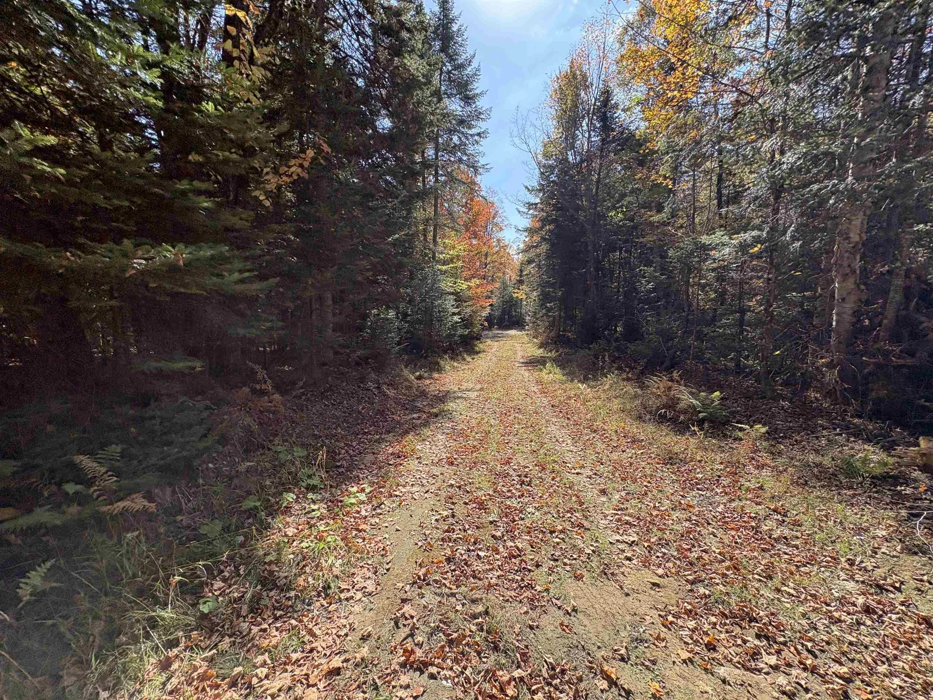 000 Baird Road Newark VT 05871