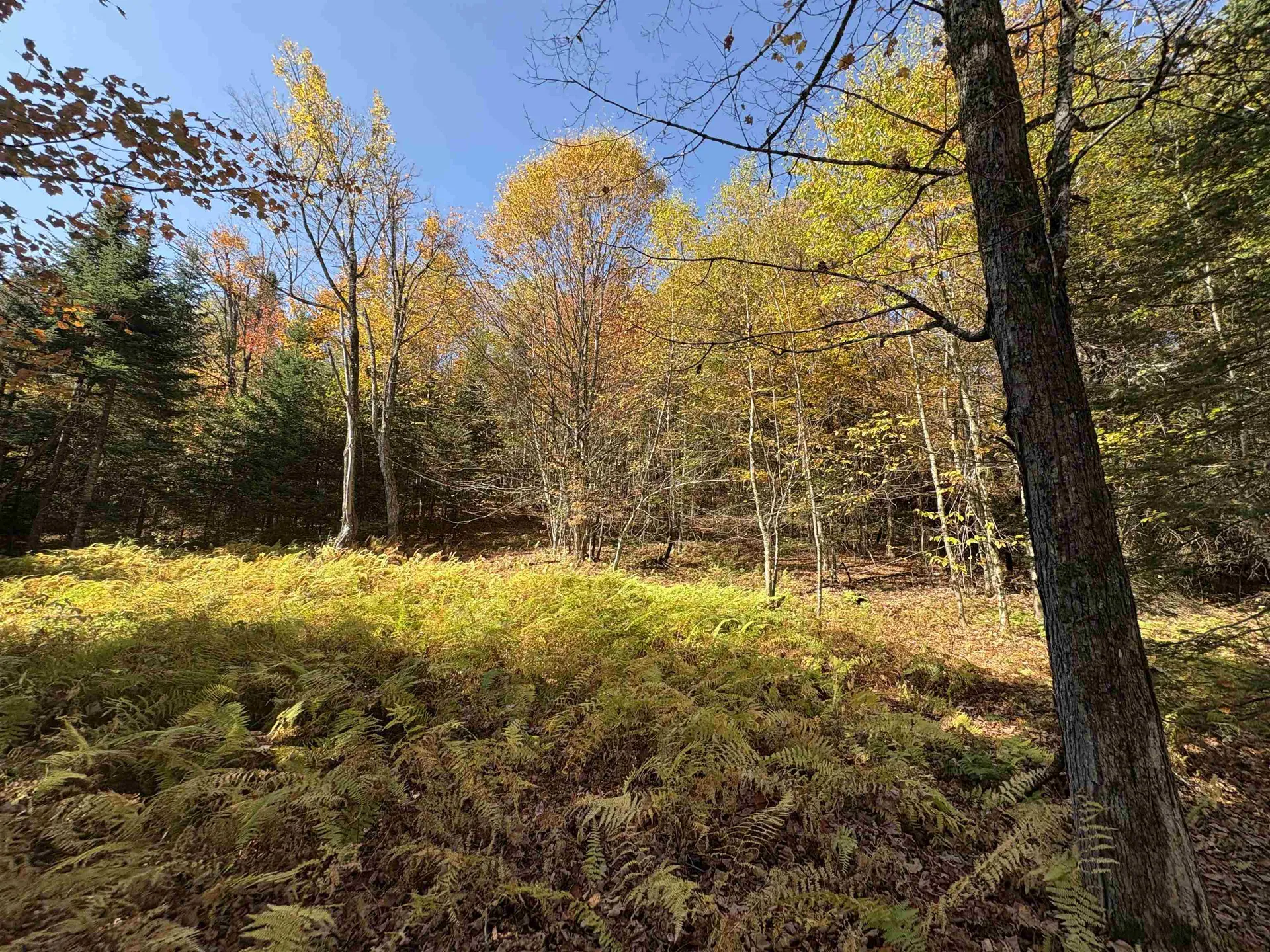 000 Baird Road Newark VT 05871