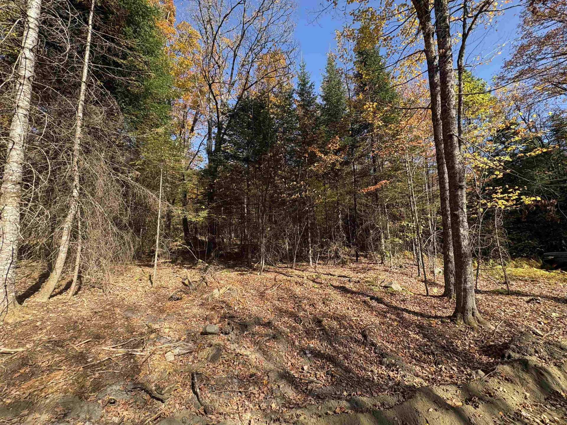 000 Baird Road Newark VT 05871