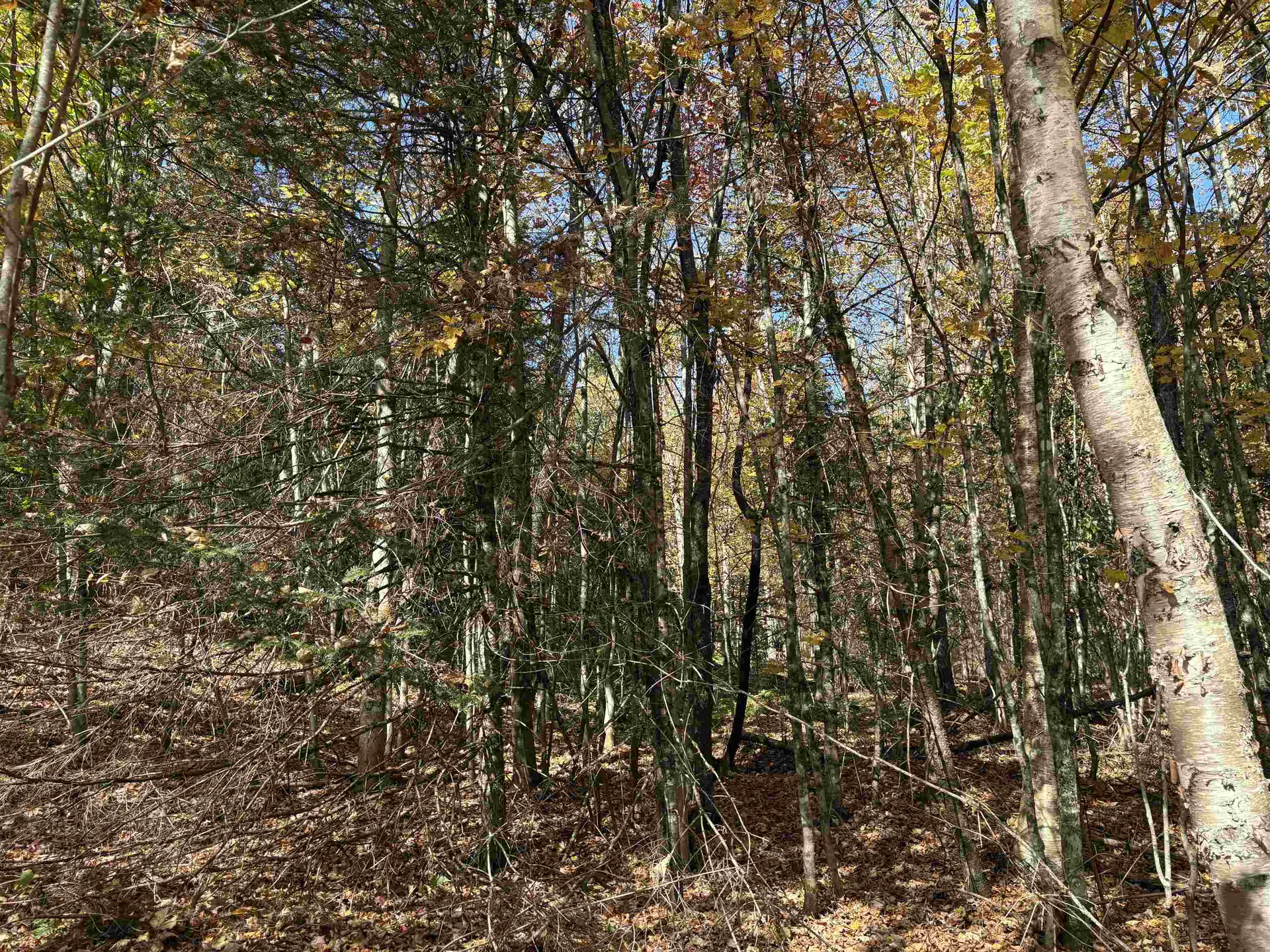 000 Baird Road Newark VT 05871