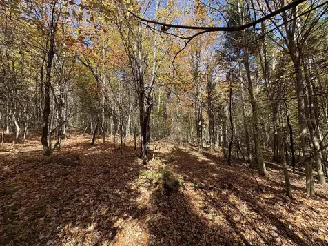 000 Baird Road Newark VT 05871