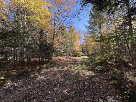 000 Baird Road Newark VT 05871