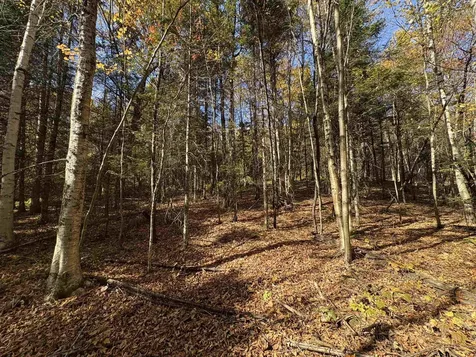 000 Baird Road Newark VT 05871