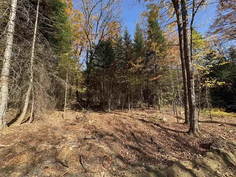 000 Baird Road Newark VT 05871