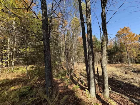 000 Baird Road Newark VT 05871