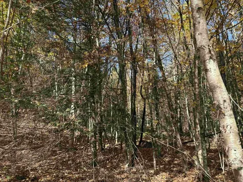 000 Baird Road Newark VT 05871