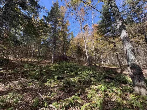 000 Baird Road Newark VT 05871