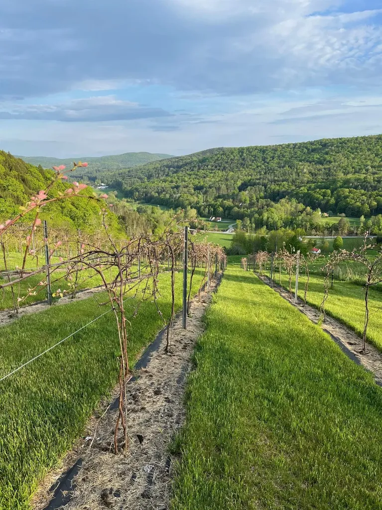 1362 Barnard Road Woodstock VT 05091