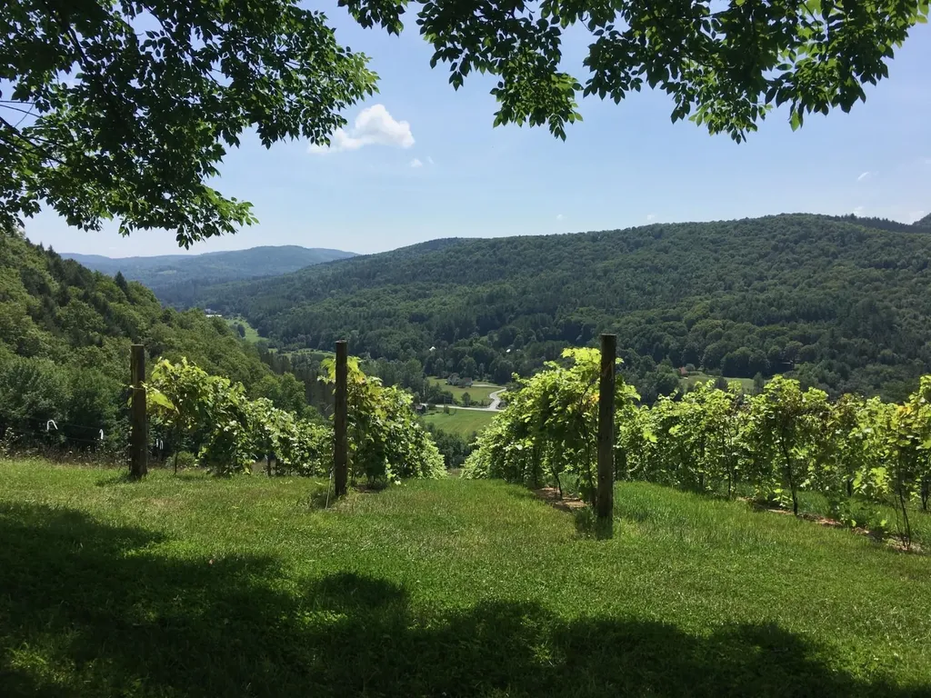 1362 Barnard Road Woodstock VT 05091