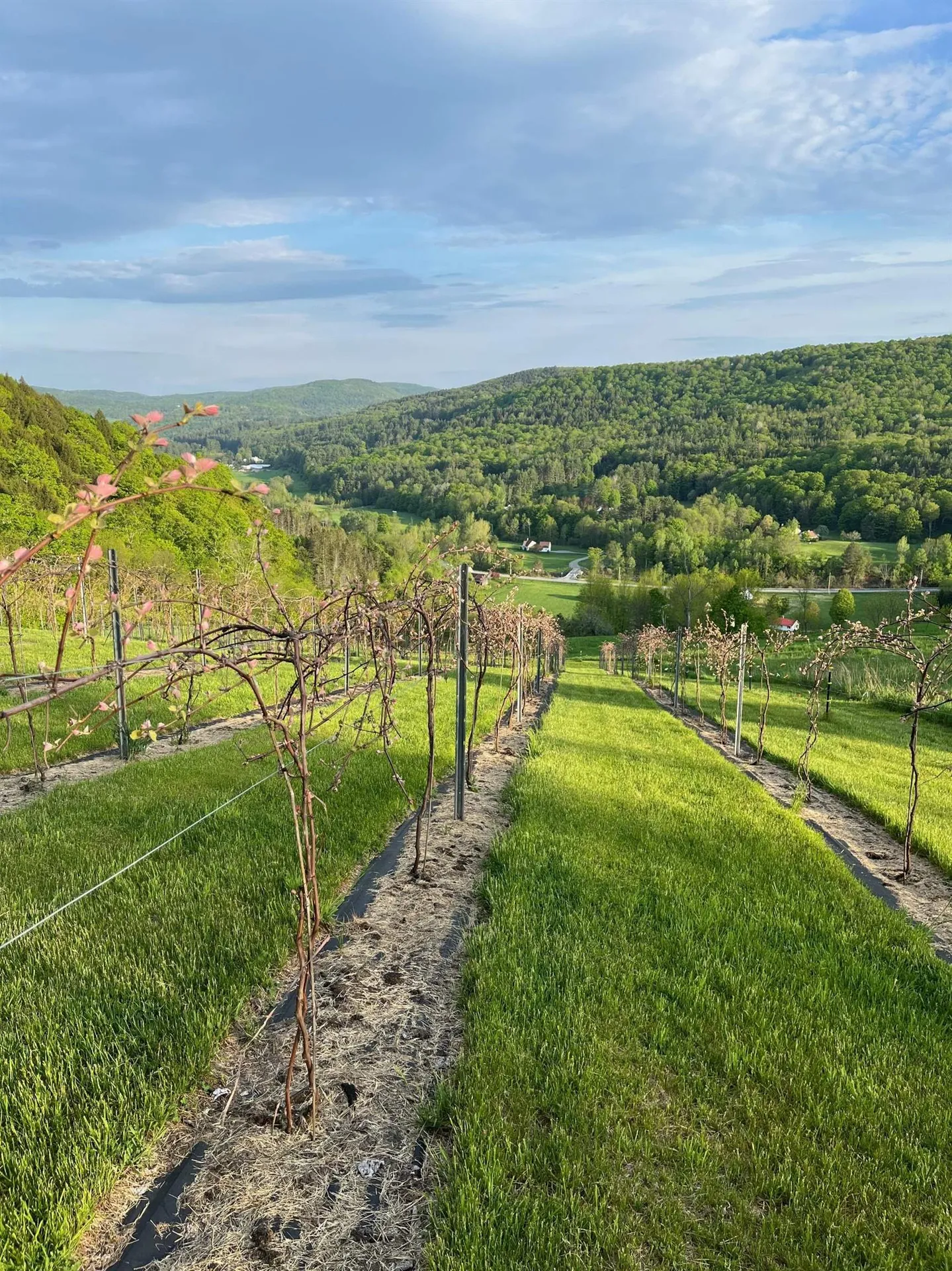 1362 Barnard Road Woodstock VT 05091