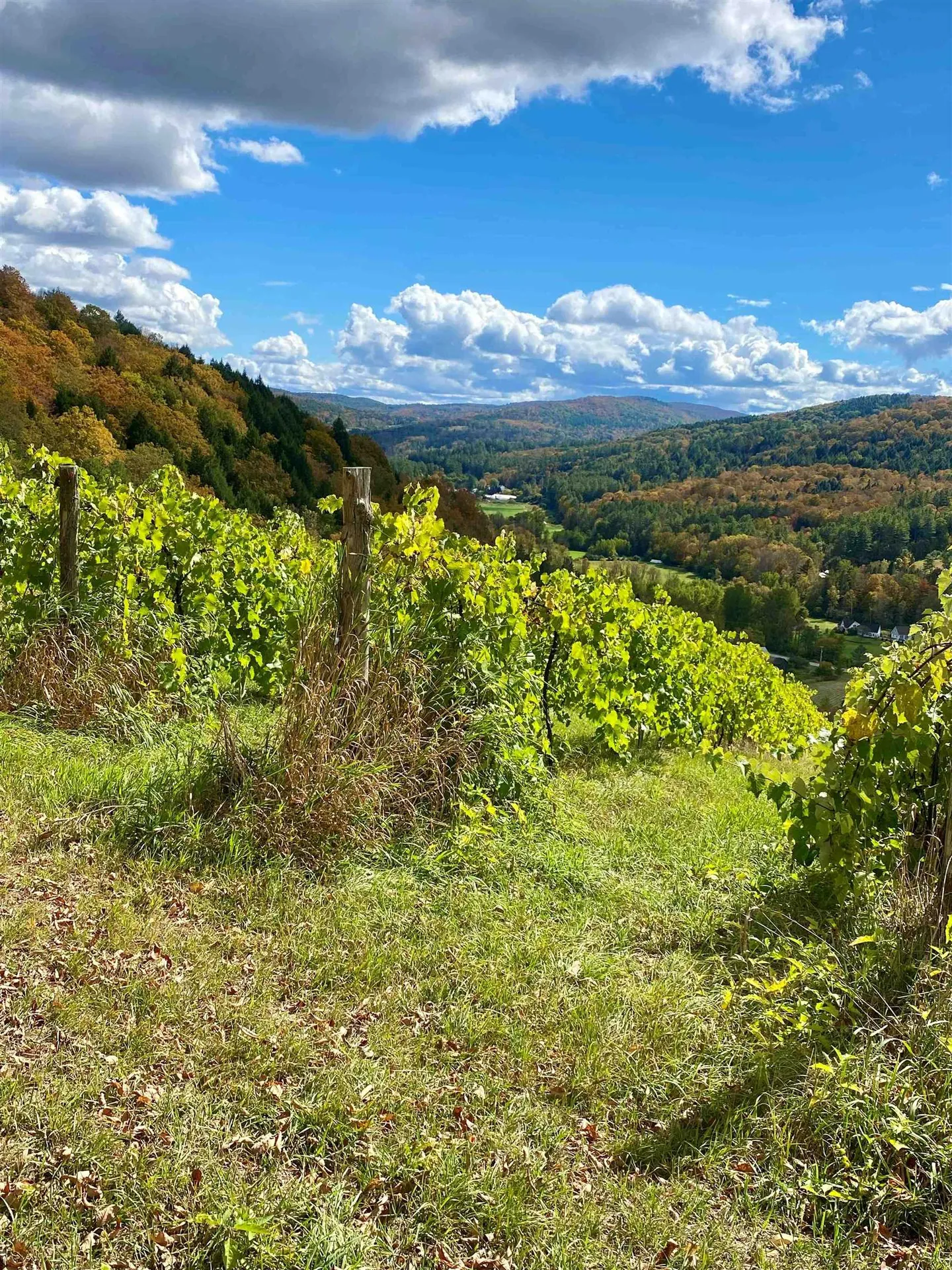 1362 Barnard Road Woodstock VT 05091