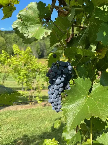 1362 Barnard Road Woodstock VT 05091