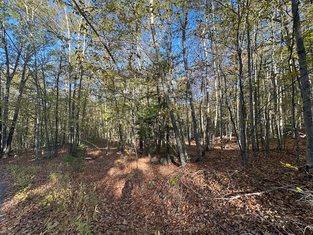 0 Old Walpole Road Surry NH 03431