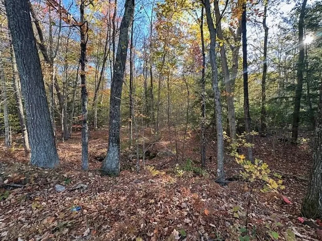 0 Old Walpole Road Surry NH 03431