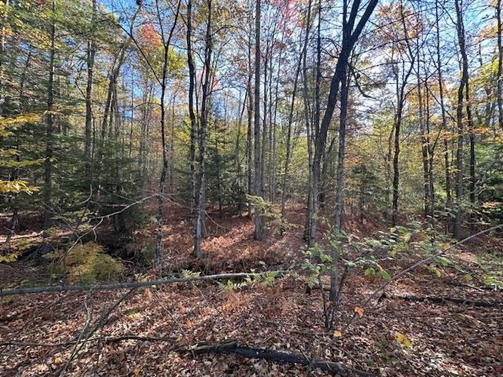 0 Old Walpole Road Surry NH 03431