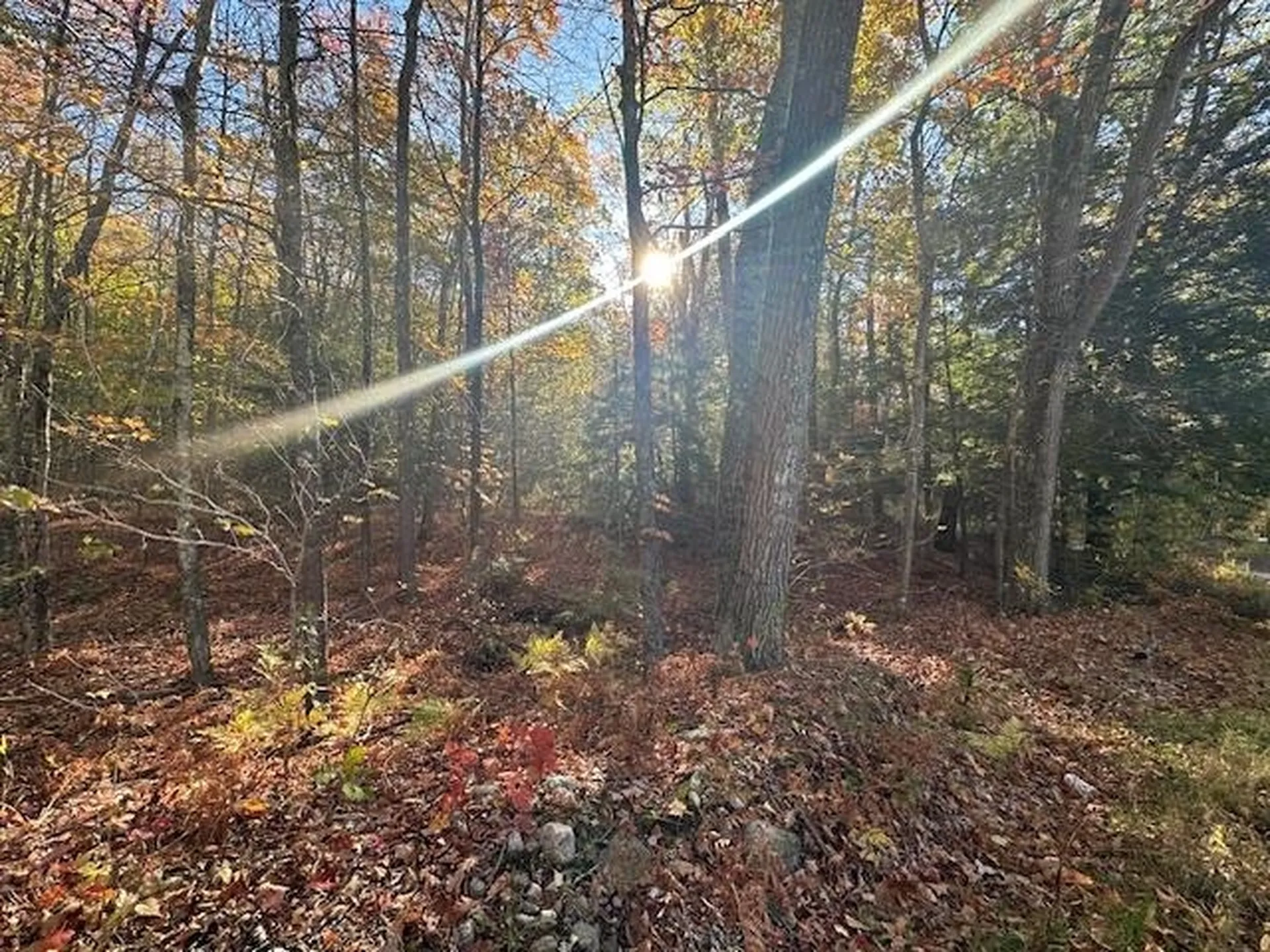 0 Old Walpole Road Surry NH 03431