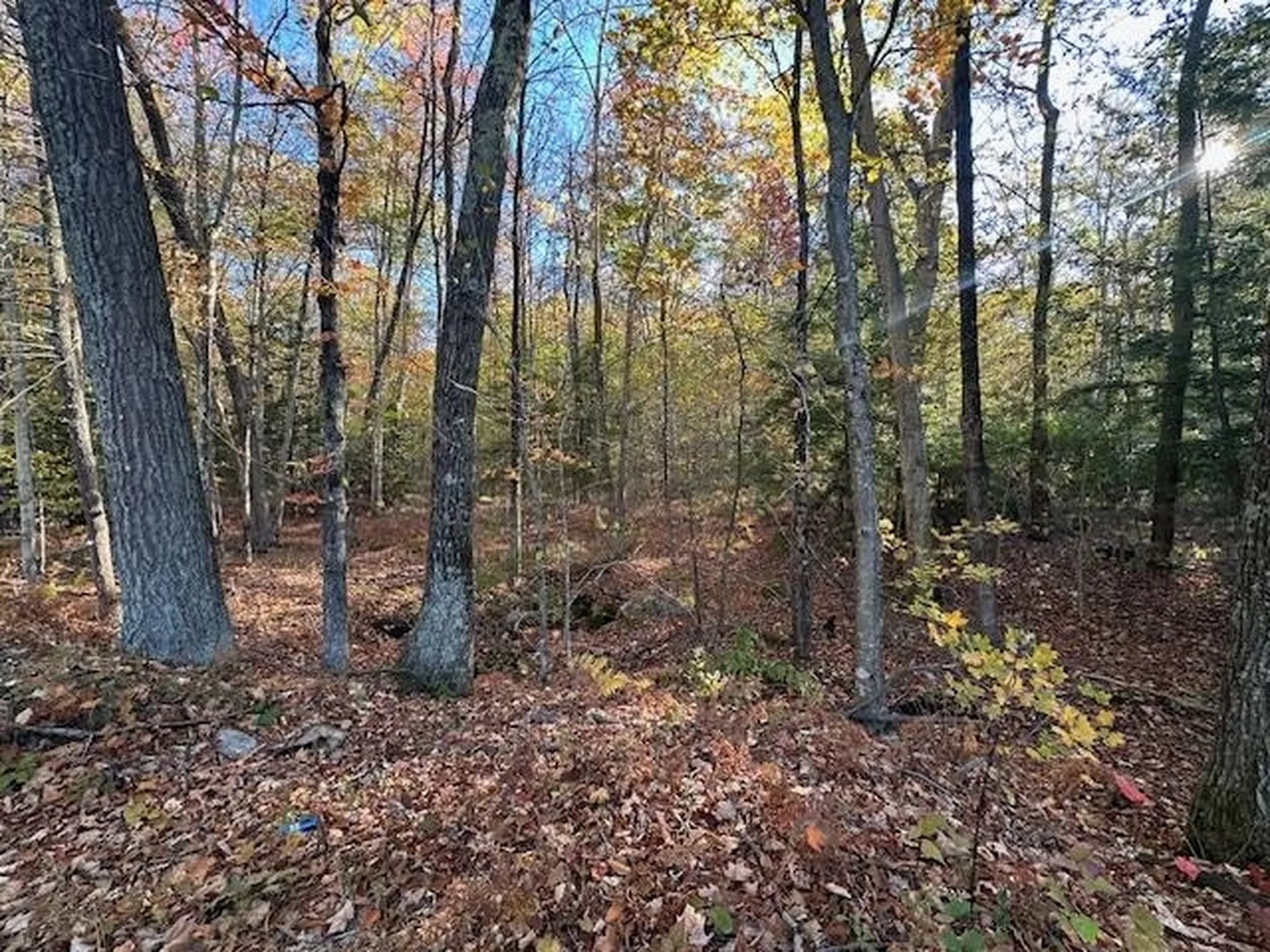 0 Old Walpole Road Surry NH 03431