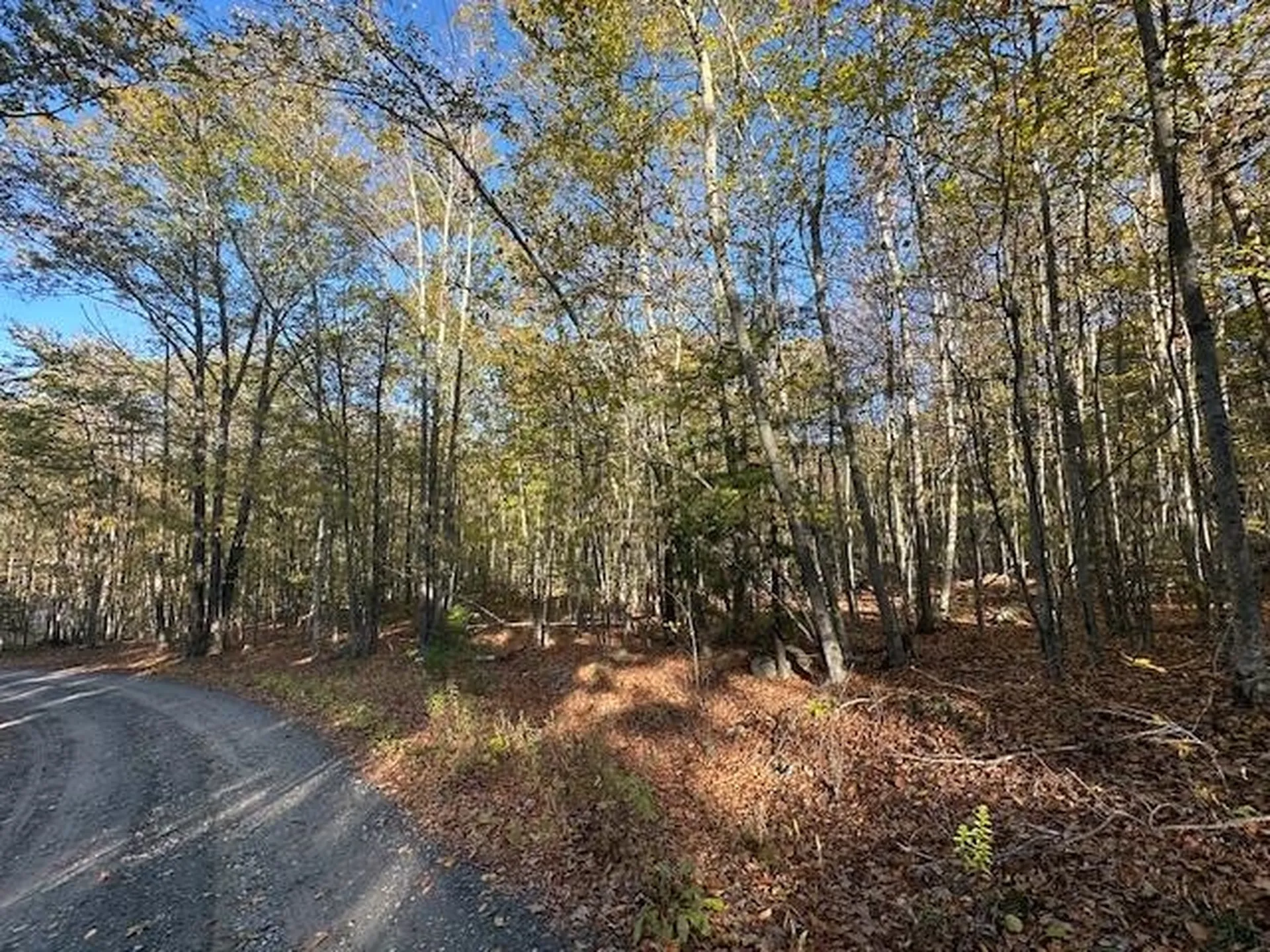 0 Old Walpole Road Surry NH 03431