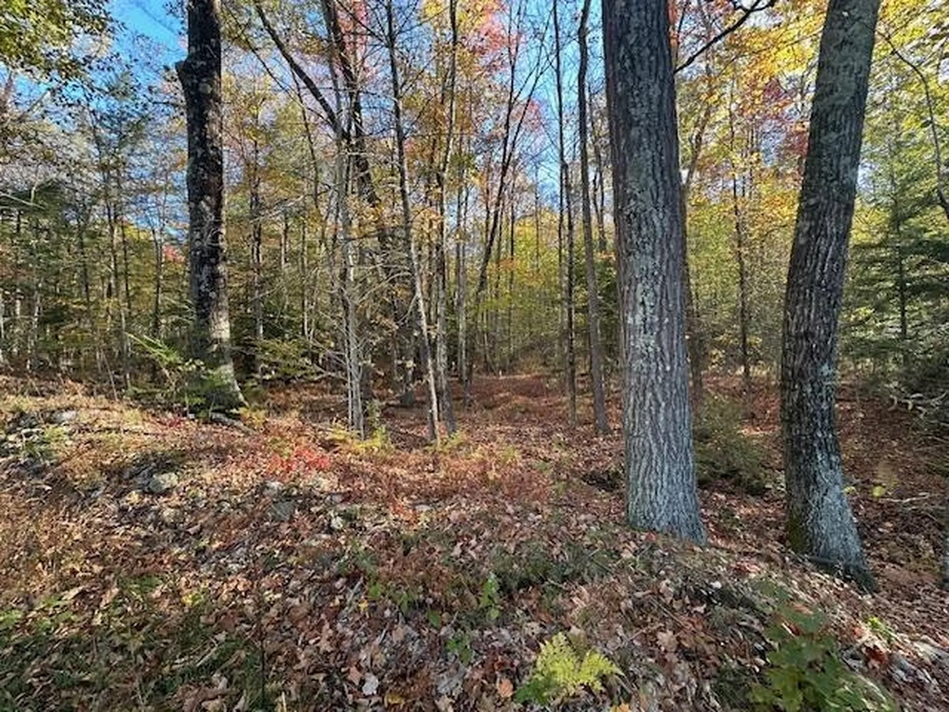 0 Old Walpole Road Surry NH 03431