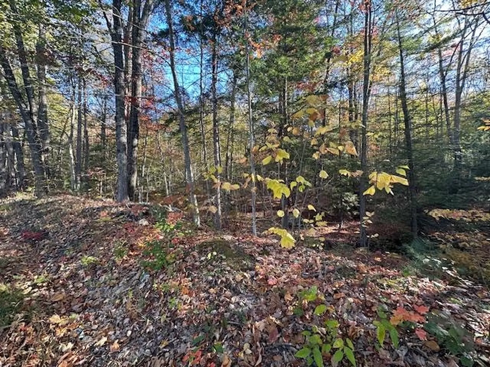 0 Old Walpole Road Surry NH 03431