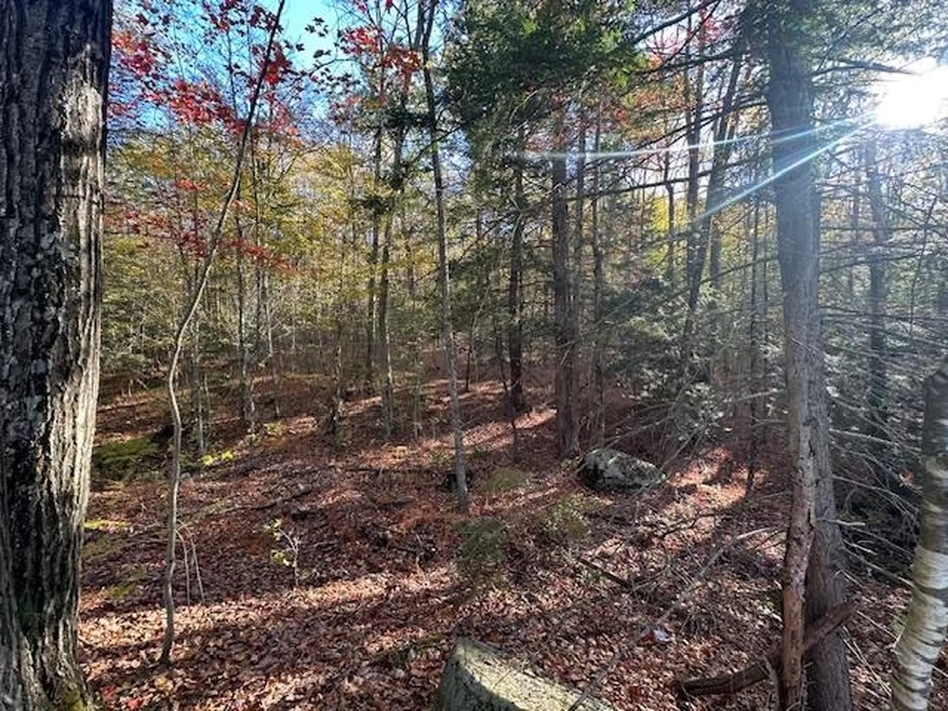 0 Old Walpole Road Surry NH 03431
