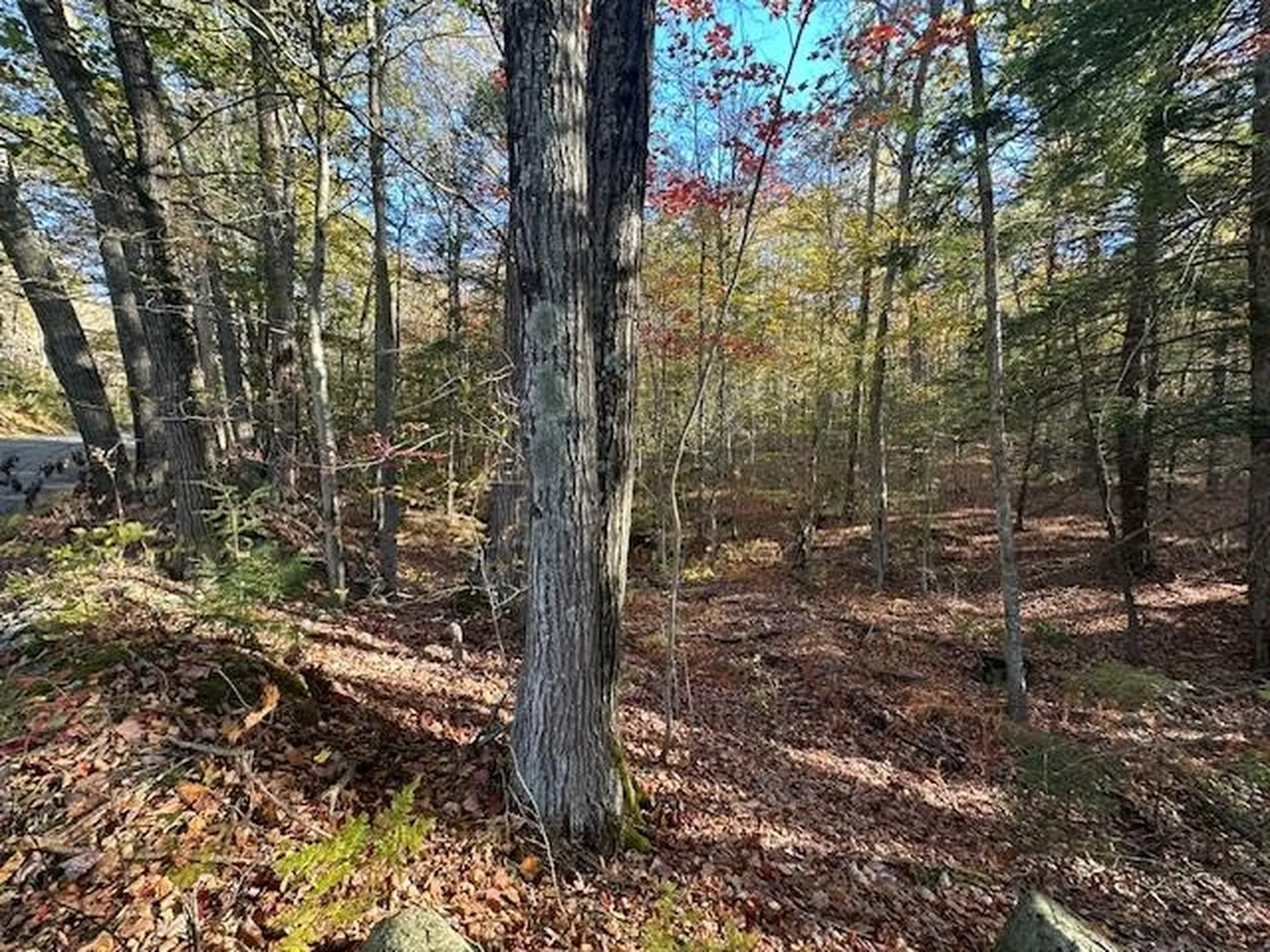 0 Old Walpole Road Surry NH 03431