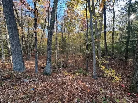 0 Old Walpole Road Surry NH 03431