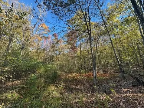 0 Old Walpole Road Surry NH 03431