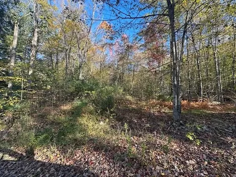 0 Old Walpole Road Surry NH 03431