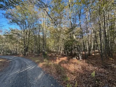 0 Old Walpole Road Surry NH 03431