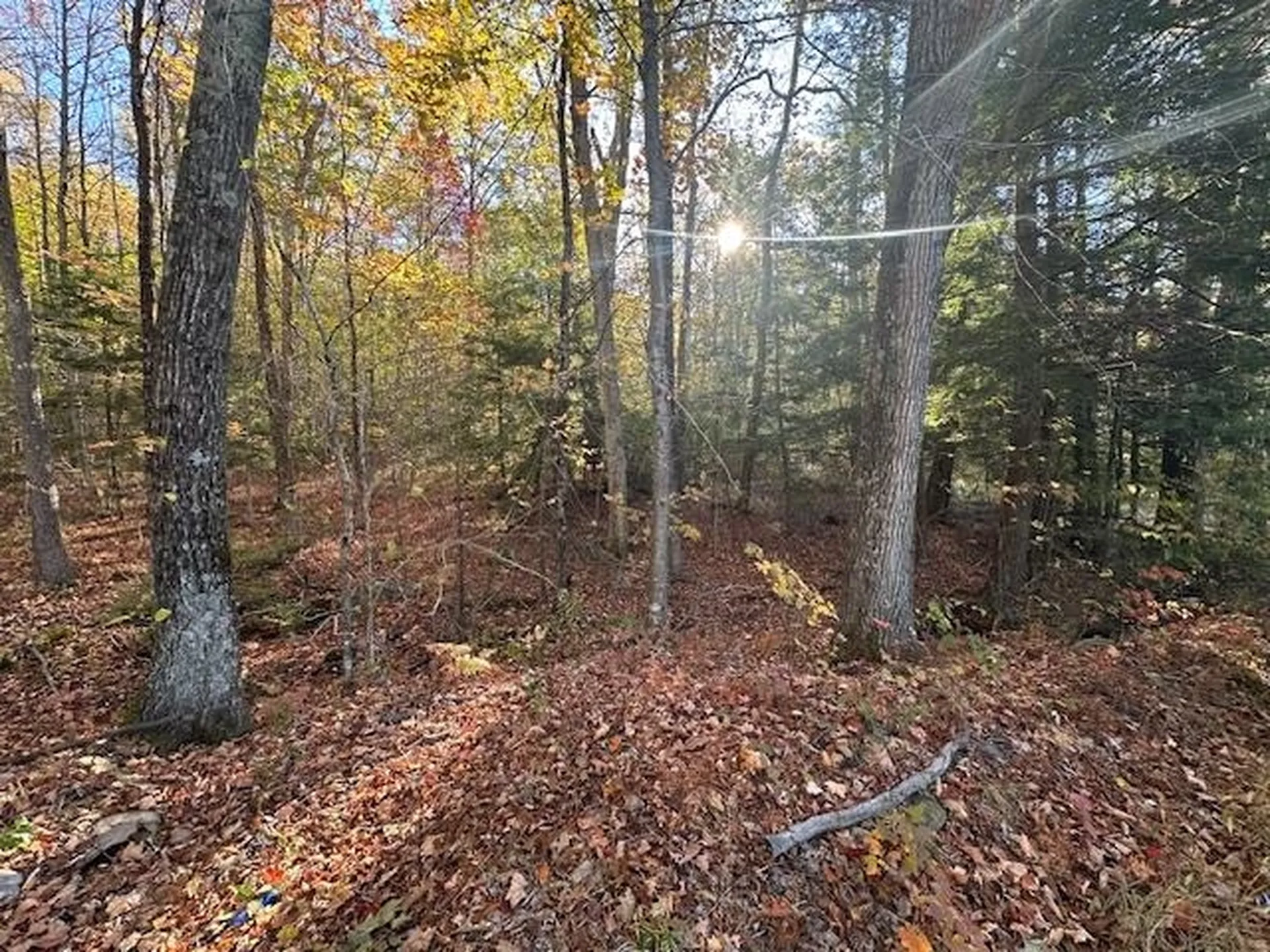 00 Old Walpole Road Surry NH 03431