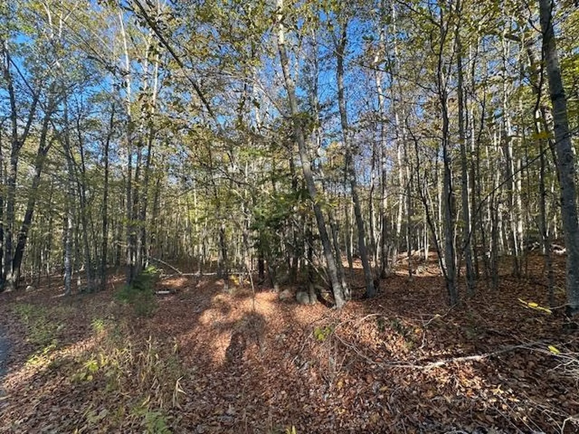 00 Old Walpole Road Surry NH 03431