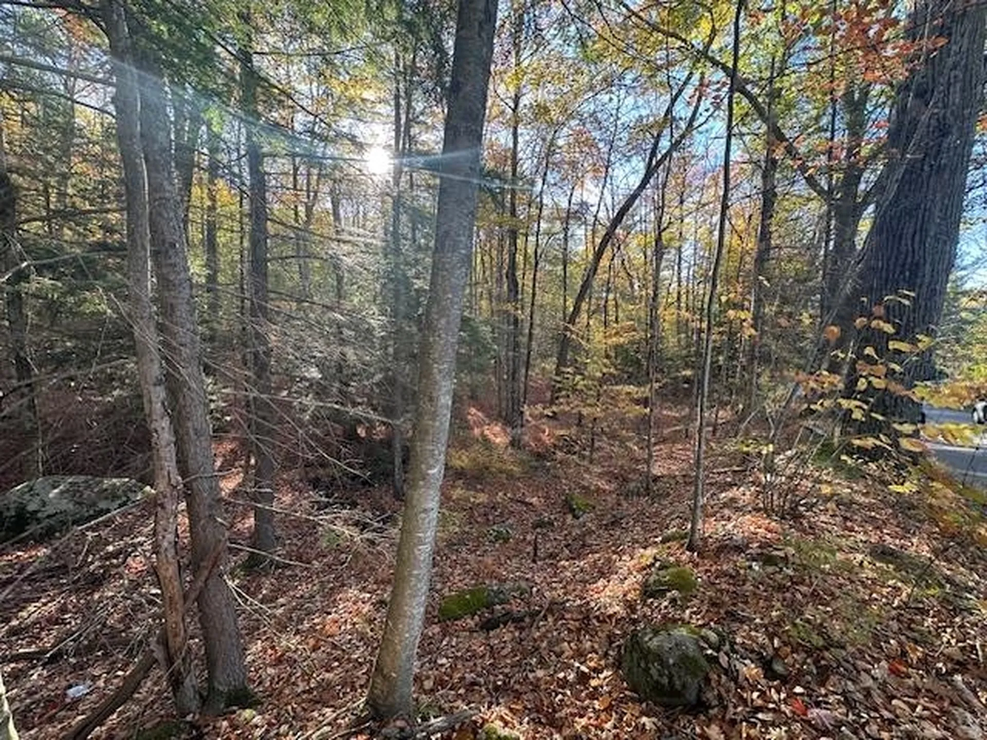 00 Old Walpole Road Surry NH 03431