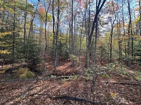 00 Old Walpole Road Surry NH 03431