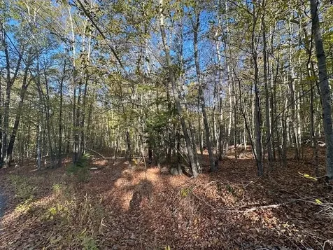 00 Old Walpole Road Surry NH 03431